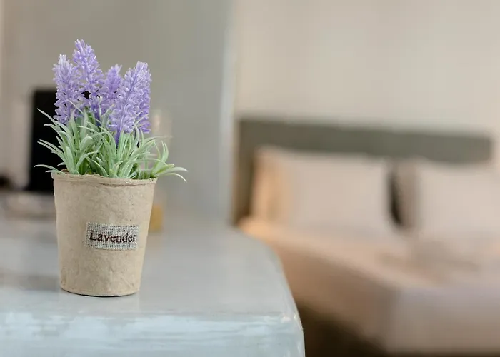 Neoklassiko Koukouli Гостевой дом