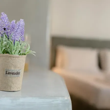 Neoklassiko Koukouli Pensjonat